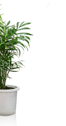 Sistema de Facturación y Gestión ERP Paraguay , Implentación  y Desarrollo de software